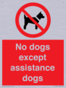no-dogs-except-assistance-dogs~